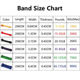 Oneside Heavy-Duty Pull-Up Assist Bands — Home Gym Set