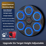 Oneside Wall-Mounted Punching Pad