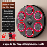 Oneside Wall-Mounted Punching Pad
